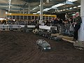 IMG_7116