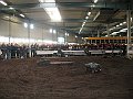 IMG_7251