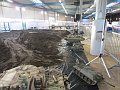 IMG_1870