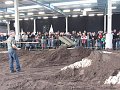 IMG_1957