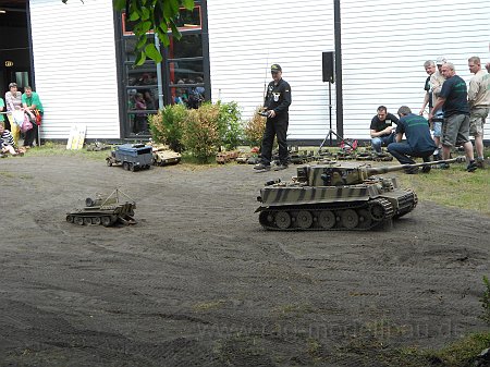 Bergepanther 1:8